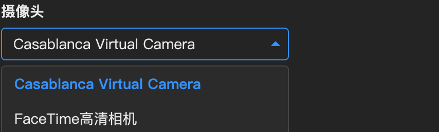 会议软件选择 Casablanca Virtual Camera 截图